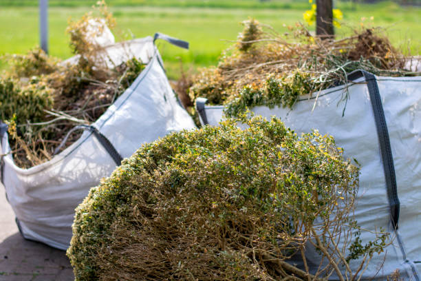 Best Residential Junk Removal  in Clifton Springs, NY