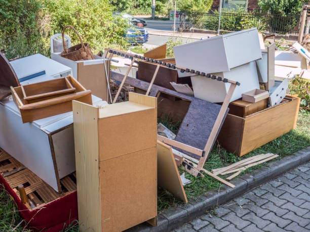 Best Household Junk Removal  in Clifton Springs, NY
